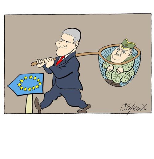 Corax 10