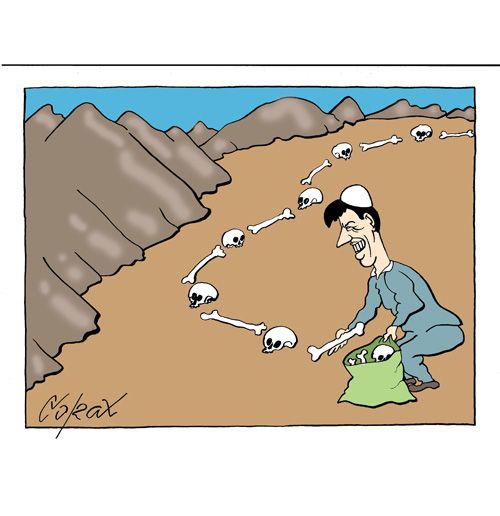 Corax 11