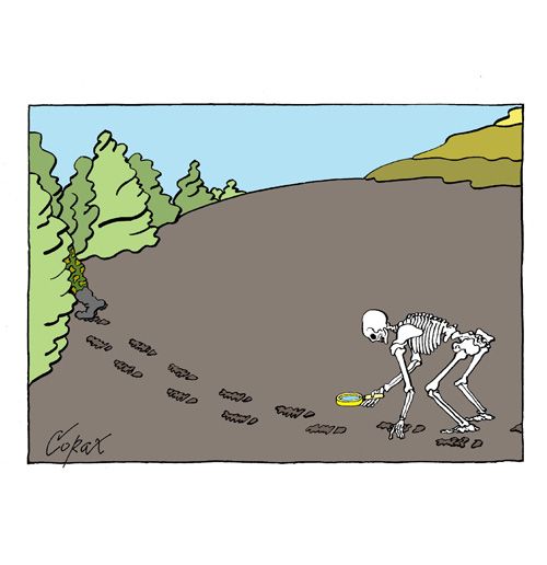 Corax 12