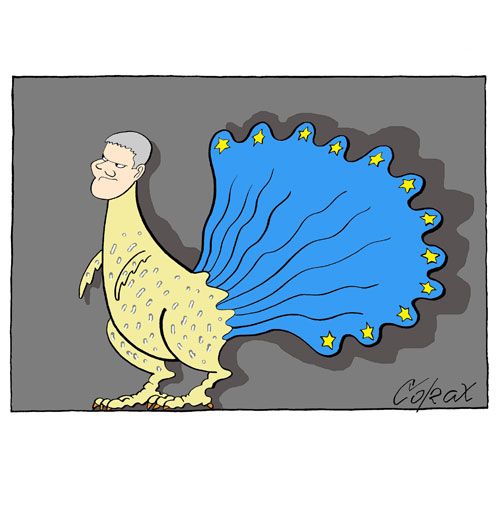 Corax 8