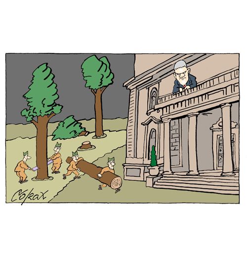 Corax 14
