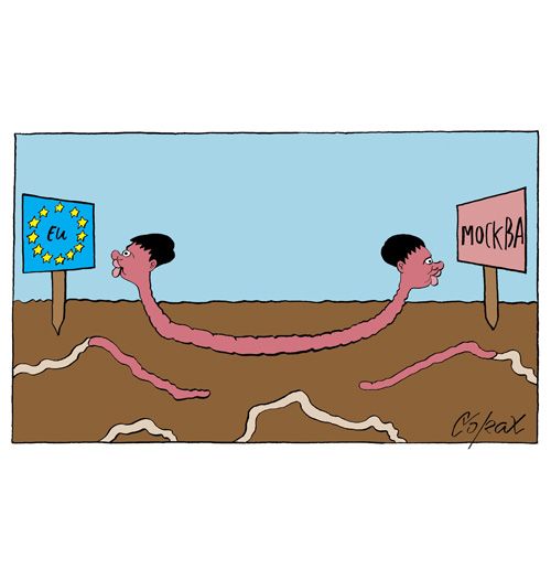 Corax 8