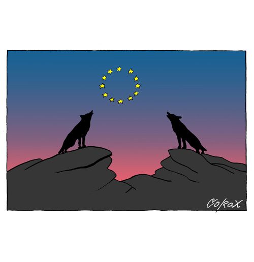 Corax 2