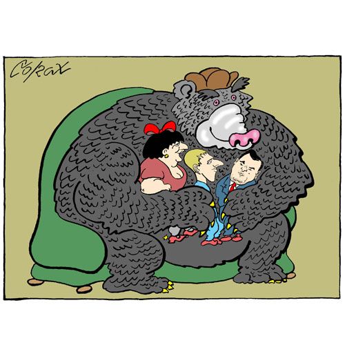 Corax 6