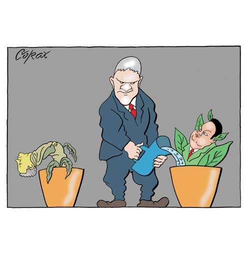 Corax 13