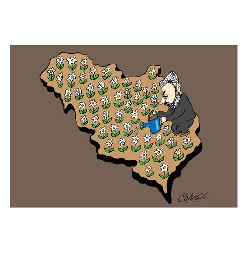 Corax 6