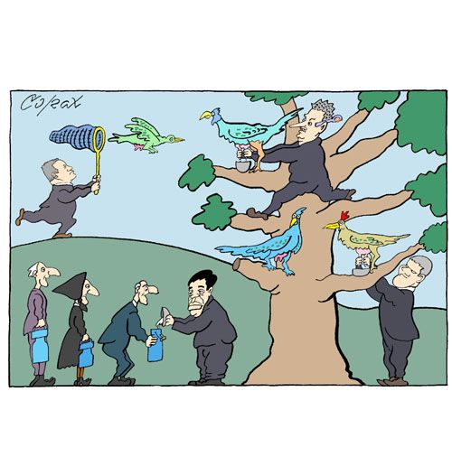 Corax 4