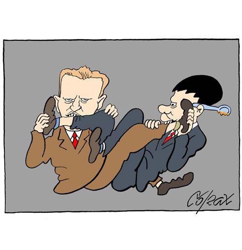 Corax 8
