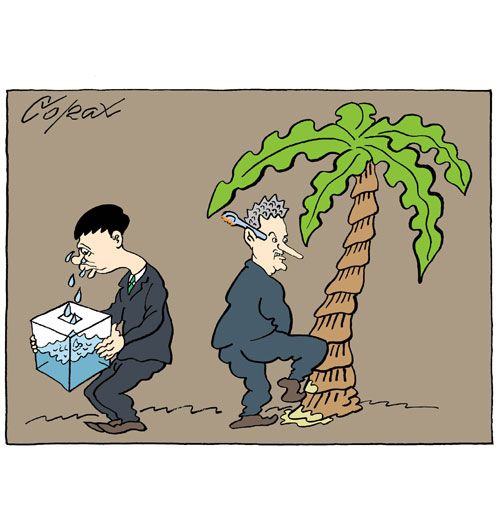 Corax 7