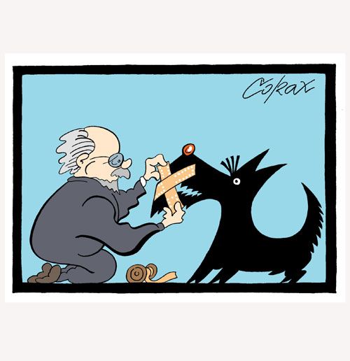 Corax 12
