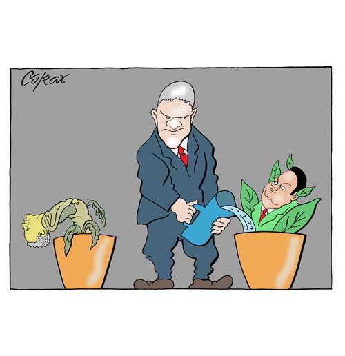 Corax 3