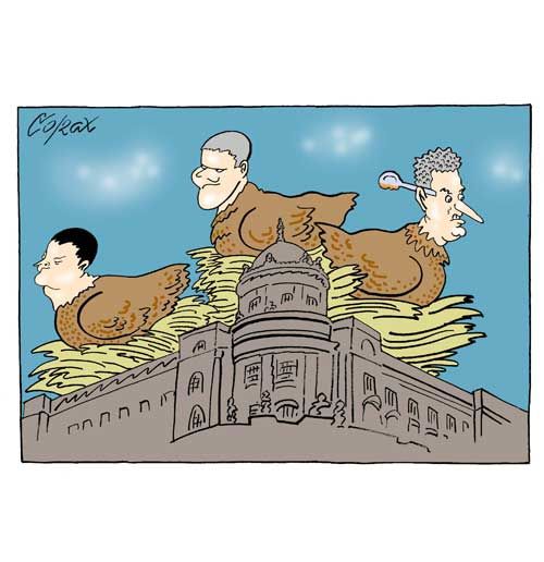 Corax 10