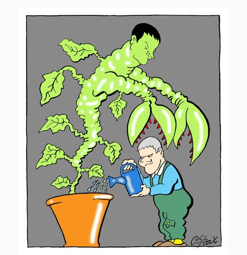 Corax 6