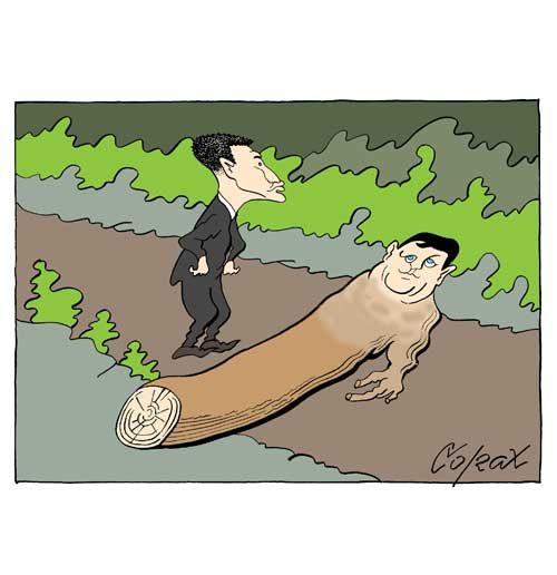 Corax 13