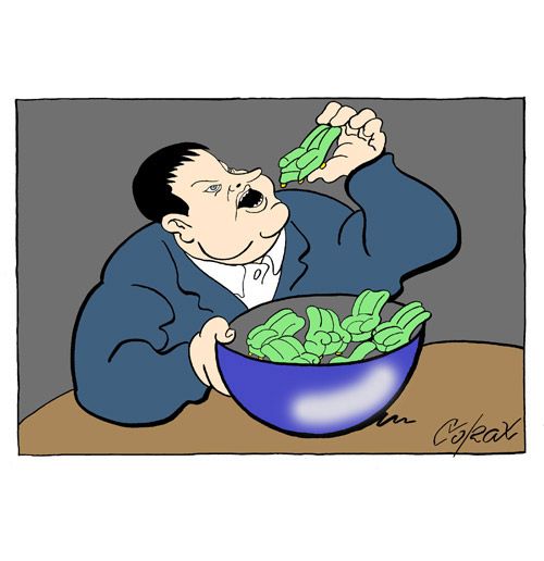 Corax 15