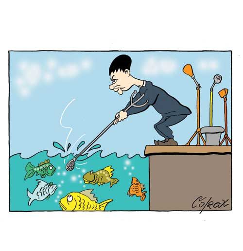 Corax 7