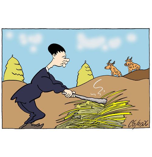 Corax 14