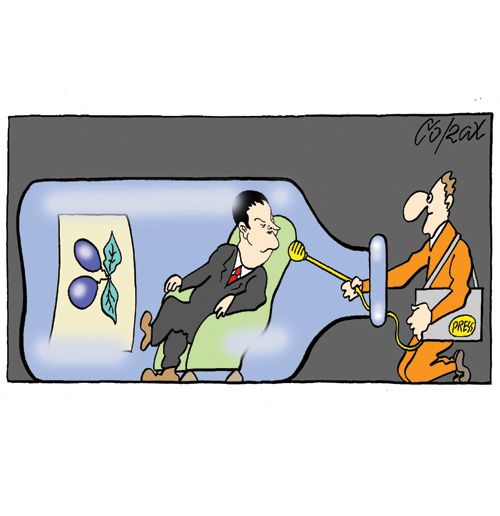 Corax 8