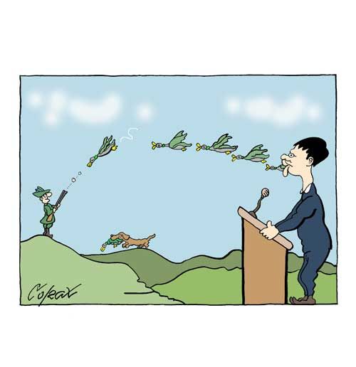 Corax 1