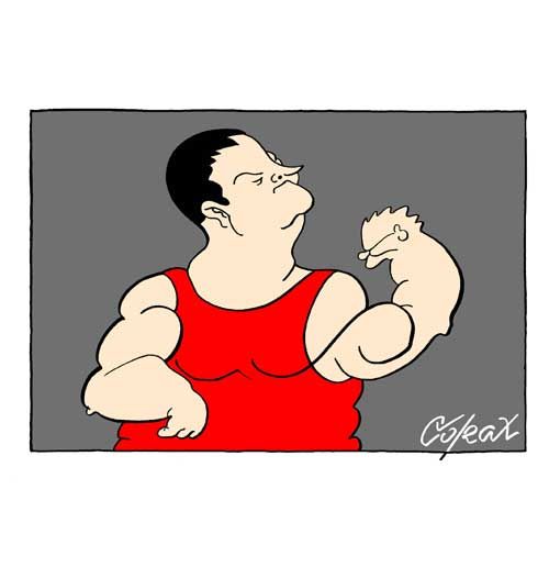 Corax 12