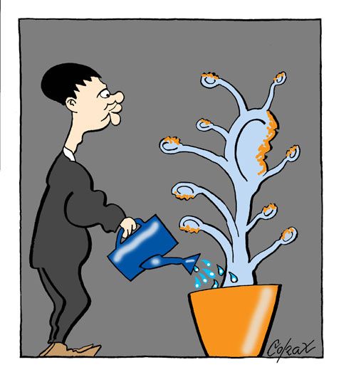 Corax 11