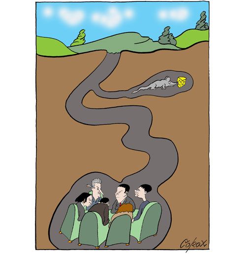 Corax 7