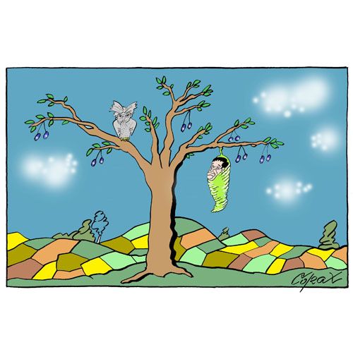 Corax 15