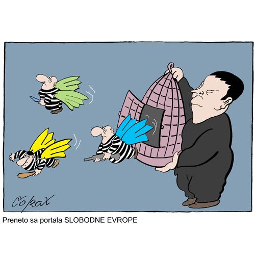 Corax 5