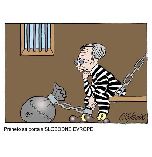 Corax 8