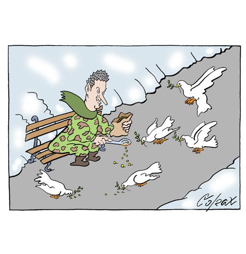 Corax 6