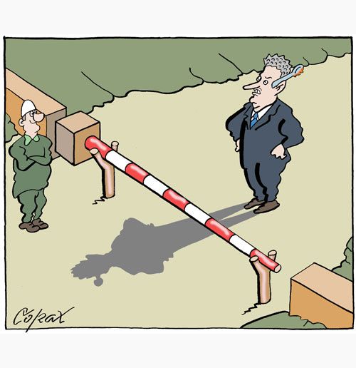 Corax 8