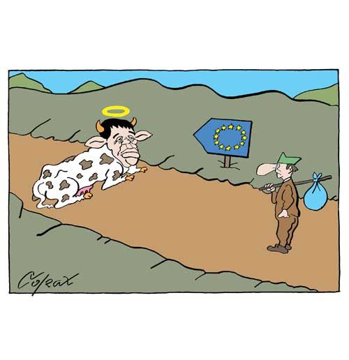 Corax 9