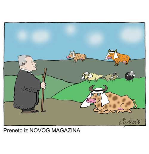 Corax 11