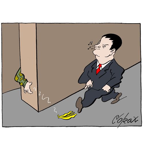 Corax 14