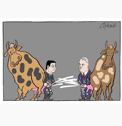 Corax 15