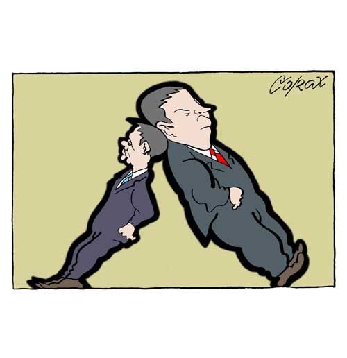 Corax 12