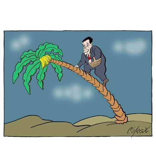 Corax 6