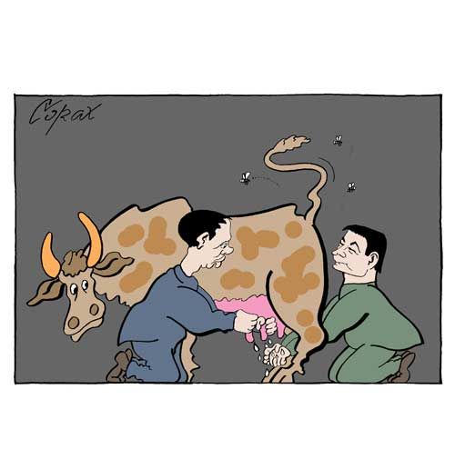 Corax 10