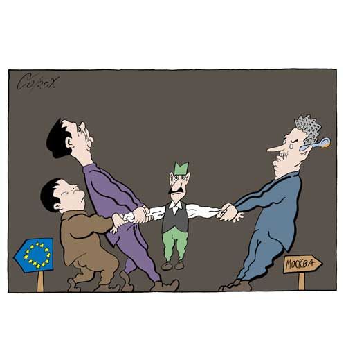 Corax 8