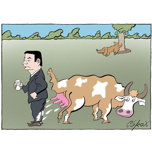 Corax 15