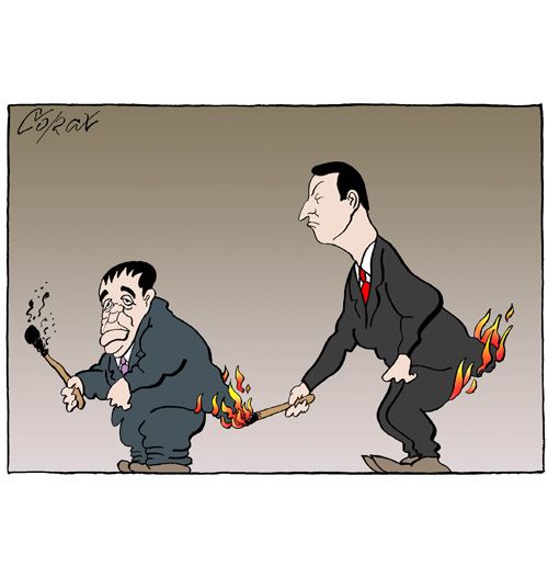 Corax 6
