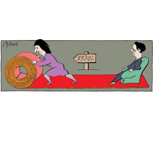 Corax 12