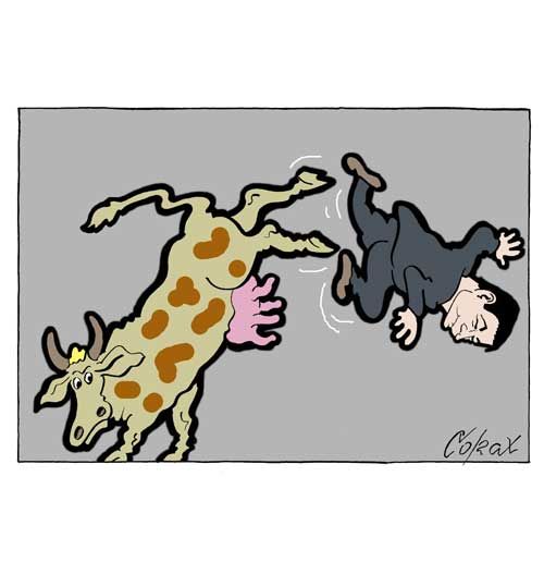 Corax 5