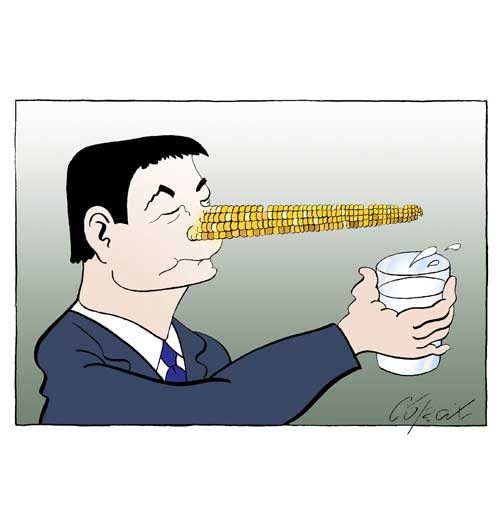 Corax 3