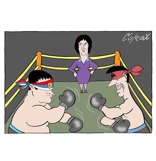 Corax 14