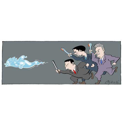 Corax 6