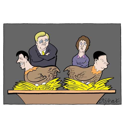 Corax 11