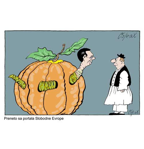 Corax 10