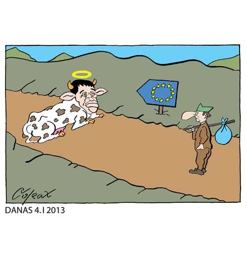 Corax 6
