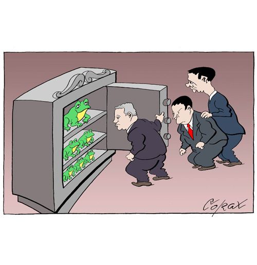 Corax 11